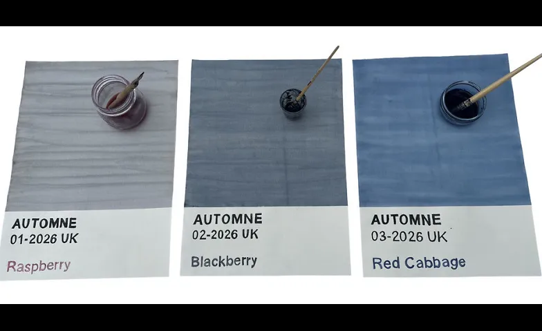 AUTOMNE - Very Berry - Naturtinten aus Beeren herstellen Tickets
