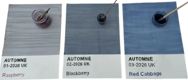 Event-Image for 'AUTOMNE - Very Berry - Naturtinten aus Beeren herstellen'