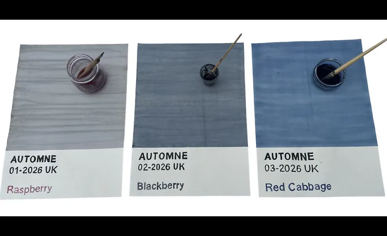 Event-Image for 'AUTOMNE - Very Berry - Naturtinten aus Beeren herstellen'