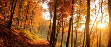 Event-Image for 'Celebrate the Autumn Equinox With Us'