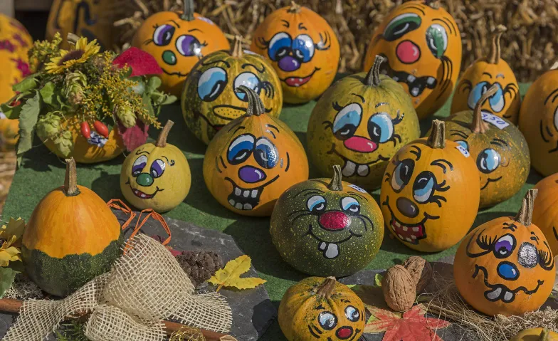 Event-Image for 'Herbst auf Finkenrech'