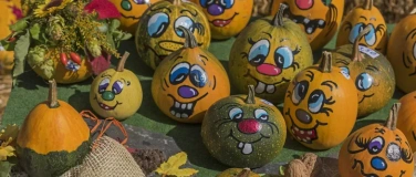 Event-Image for 'Herbst auf Finkenrech'