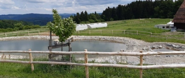 Event-Image for 'Grundwasser im Klimawandel - Herausforderungen und Chancen'