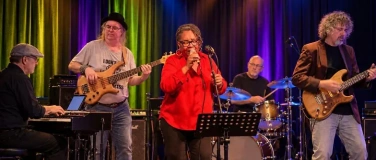 Event-Image for 'Beehouse Connection (USA/CH) & Special Guests - Live Blues'