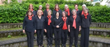 Event-Image for 'Konzert des Berner Mandolinen Orchesters'