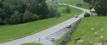 Event-Image for 'Besichtigung der Bunker Nord, S&uuml;d und Warmesberg der Sperre'