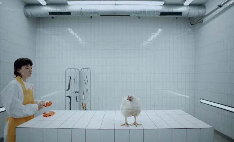 Best-of Kurzfilmnacht-Tour, Freizeit & Ausflüge, Kino Cameo