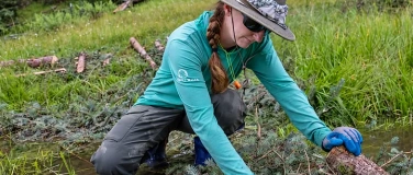 Event-Image for 'Natur Verbindet - Gemeinsam Biberd&auml;mme bauen'