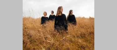 Event-Image for 'Biennale Les Amplitudes &ndash; Nordic Affect'