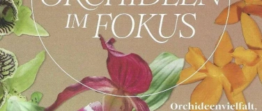 Event-Image for 'Orchideen im Fokus'
