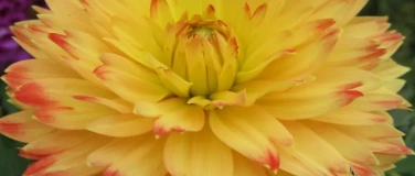 Event-Image for 'Neues Datum - Treff der Alleinstehenden'