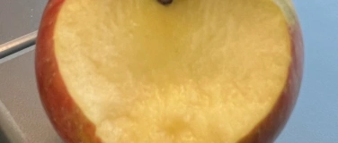 Event-Image for 'Beiss nicht gleich in jeden Apfel - Steinen/SZ'