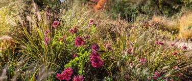 Event-Image for 'Montagsf&uuml;hrung: Herbstspaziergang'