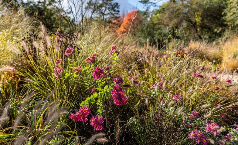 Montagsführung: Herbstspaziergang