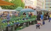 Markt Grenchen