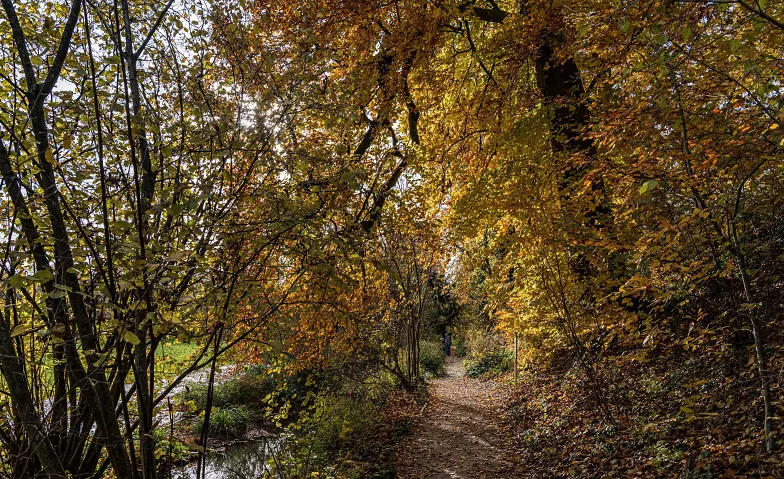 Gartenrundgang, Visites & Conférences / Visites, Merian Gärten