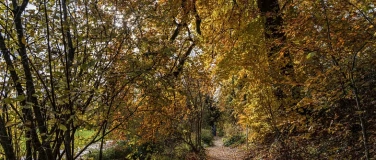 Event-Image for 'Gartenrundgang'