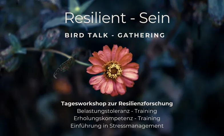 BIRD TALK Gathering