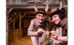 Ox und Esel