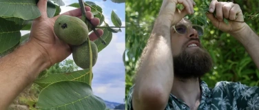 Event-Image for 'Agro&ouml;kologie Works 2026: Kronenpflege Agroforest'