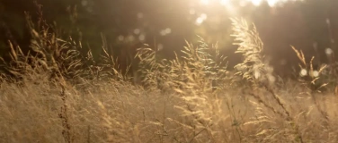 Event-Image for 'SUNDAY SESSION - FIND YOUR GROUND'
