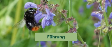 Event-Image for 'Biodiversit&auml;tsf&uuml;hrung'