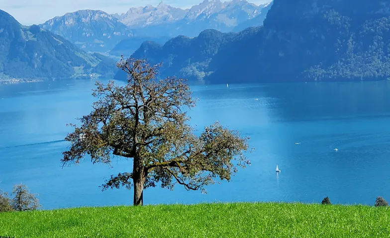 Event-Image for 'Wanderung f&uuml;r Seniorinnen und Senioren'