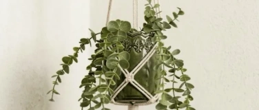 Event-Image for 'Kreative Auszeit: Blumenampel kn&uuml;pfen'