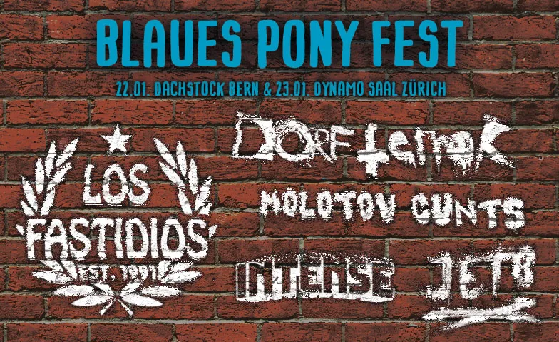Blaues Pony Fest 2027, Konzerte / Punk, Dynamo Zürich