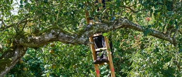 Event-Image for 'Das Radiesli stimmt mich zuversichtlich'