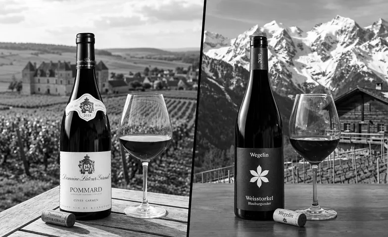 BOURGOGNE VS. GRAUBÜNDEN, Essen & Trinken / Weindegustation, Sihlcity