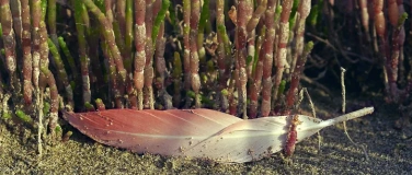 Event-Image for 'Christine Seiler - Spurensuche'