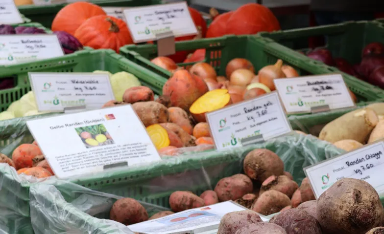 Légumes d’hiver: couleurs, saveurs et solidarité, Guided tours & lectures / Guided tour, À La Belle Courgette