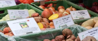 Event-Image for 'L&eacute;gumes d&rsquo;hiver: couleurs, saveurs et solidarit&eacute;'