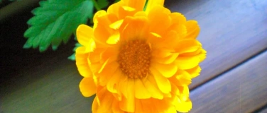 Event-Image for 'Meditation for people who can&rsquo;t meditate'