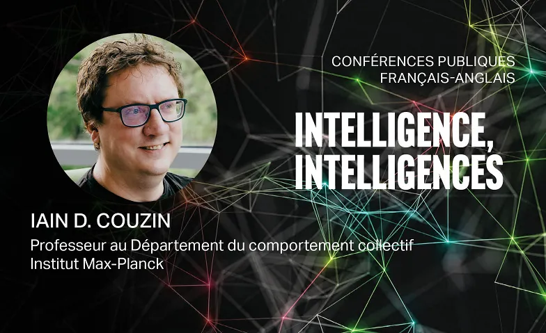 Comment pensent les foules? (FR/EN)