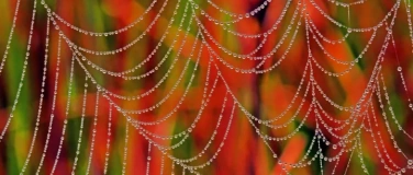Event-Image for 'Bild-Klang-Meditation: Die Sonntagssch&ouml;pfung'