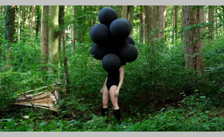 Event-Image for 'Das Surren tr&auml;gt Hufe &ndash; Soloshow Myriam G&auml;mperli'