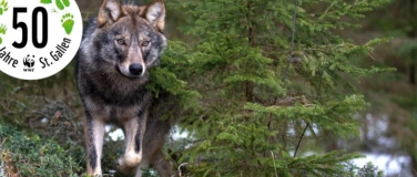 Event-Image for 'Dem Wolf auf der Spur'
