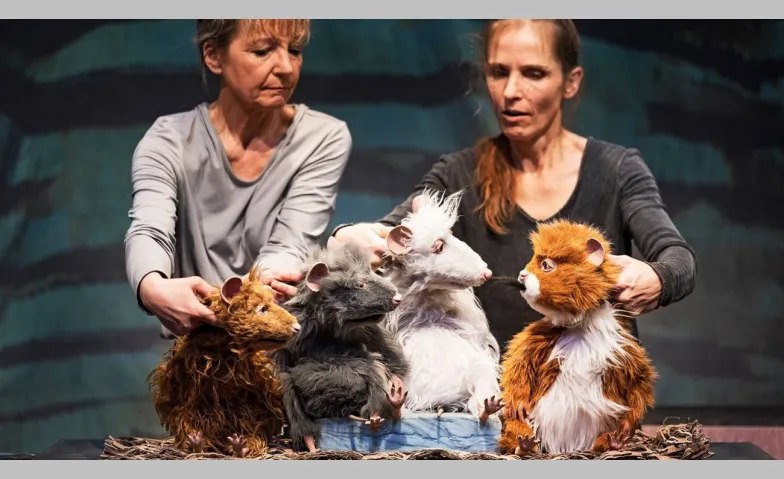 Die Muskeltiere, Théâtre & Scène, TAK Theater Liechtenstein