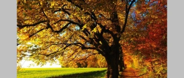 Event-Image for 'Die vier Jahreszeiten &ndash; einmal anders &laquo;Herbst&raquo;'