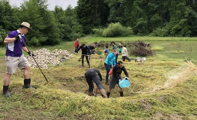 Natur Verbindet - Hecke pflegen und Wieselburgen bauen, Divers, Grindelhof