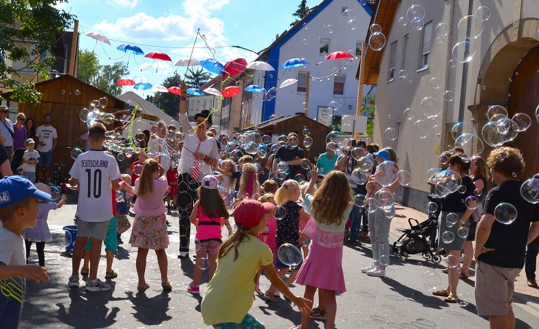 Event-Image for '41. Stra&szlig;enfest der Meckesheimer Vereine'