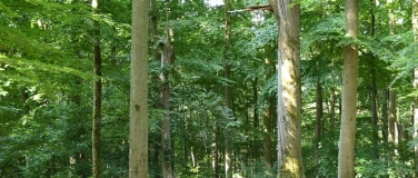 Event-Image for 'Praxistagung AG Waldbiodiversit&auml;t'