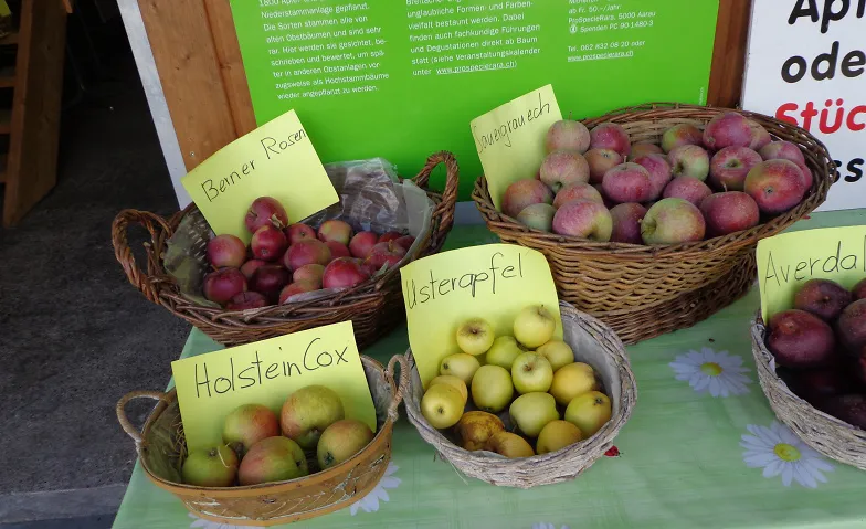 Event-Image for 'Obstsortenausstellung'
