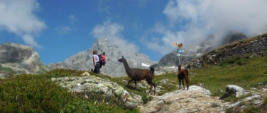 Event-Image for 'Herbstausflug 2026: Lamatrekking Bristen'