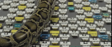 Event-Image for 'Dialogischer Ausstellungsbesuch'