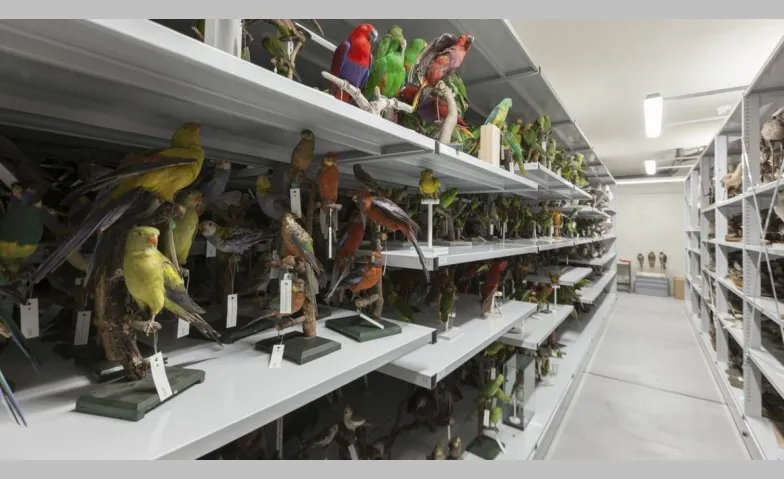 Entdecken Sie unsere verborgenen Schätze, Wissenschaft & Technik, Naturmuseum St. Gallen
