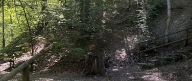 Event-Image for 'Pro Senectute Wanderung'