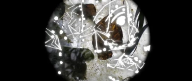 Event-Image for 'In Rilke baden - Liveperformance'